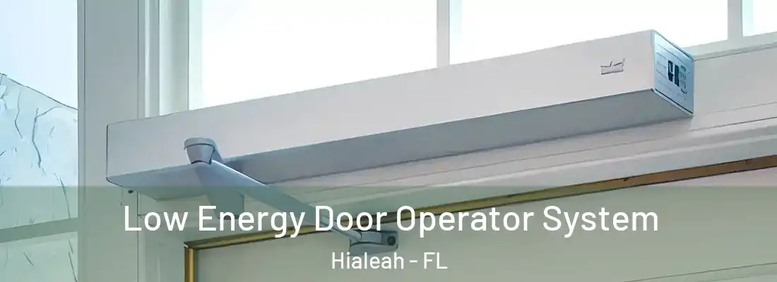  Low Energy Door Operator System Hialeah - FL