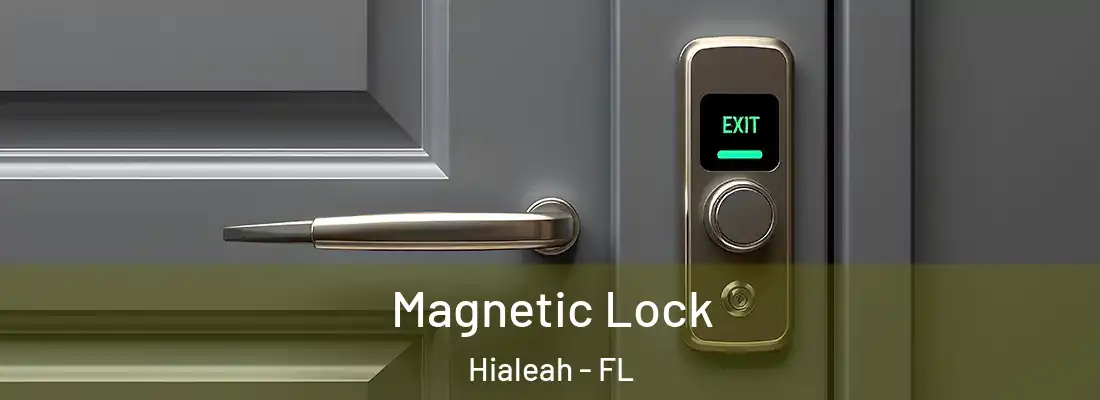  Magnetic Lock Hialeah - FL